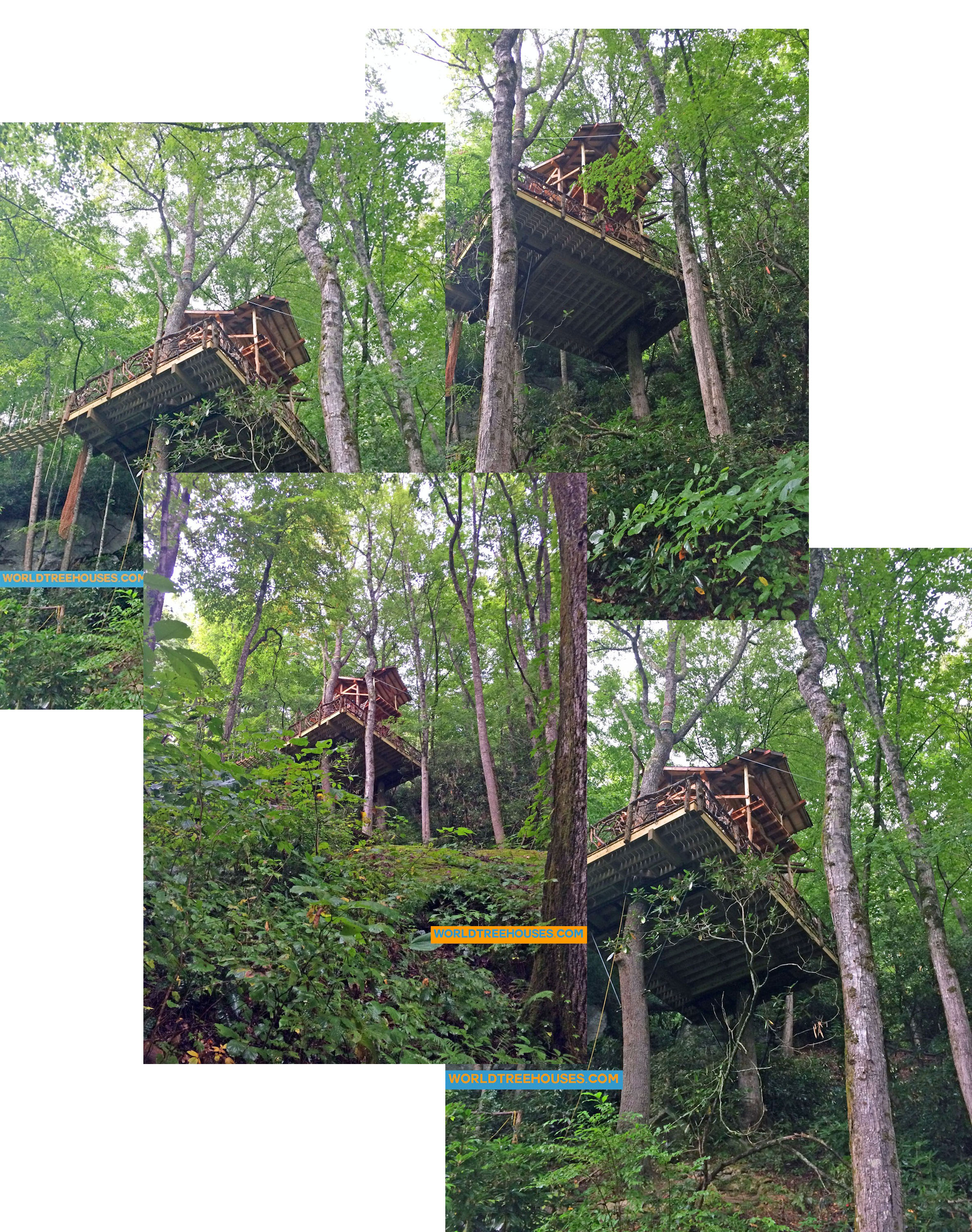 WNC tree house builder:View from Below