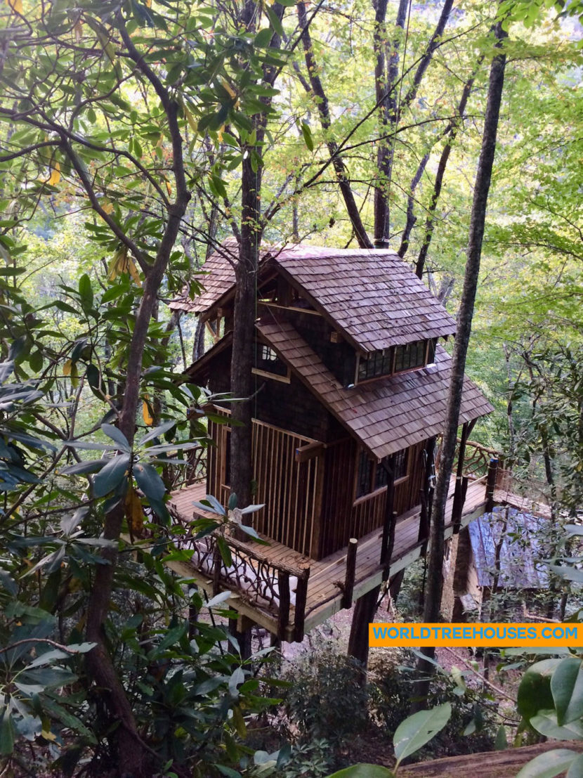 WNC tree house builders