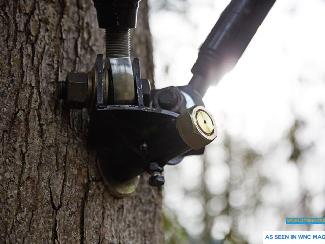 NC treehouse builder: World Treehouses’ artificial limbs preserve the health and strength of the trees