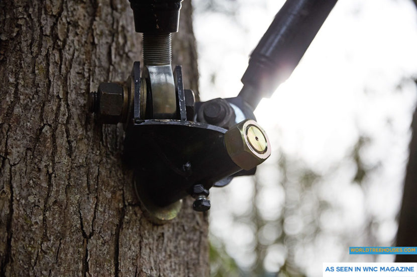 NC treehouse builder